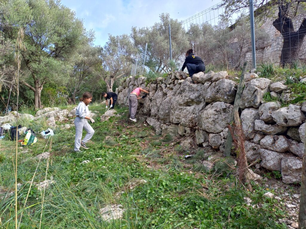 Conservació Arqueològica a Mallorca arqueocet