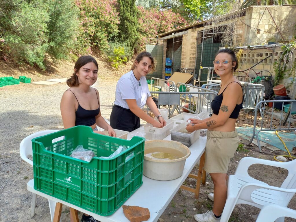 soport a l'excavació arqueològica a mallorca